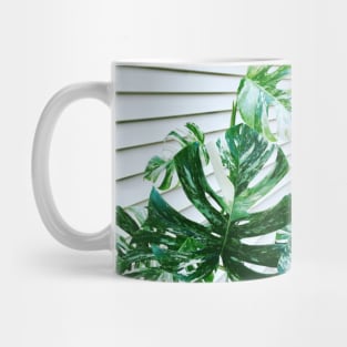 Variegated Monstera Mug